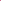 Nylon-Spandex Brushed Stretch Fabric